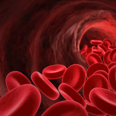 Pablo Braga Gusmans Podcast