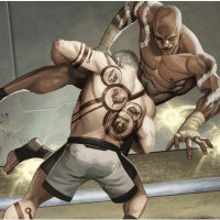 The Combat Codes: Fantasy Meets MMA in New Book Series