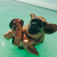 “Fighting Sickness” with BJJ Nutritionist Kimberly Kaye