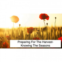 Knowing The Seasons - Audio
