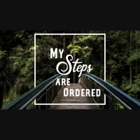 My Steps Are Ordered - Audio