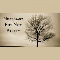 Necessary But Not Pretty - Audio