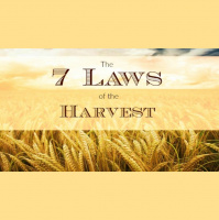 Laws of the Harvest - Audio