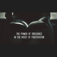 The Power of Obedience in the Midst of Frustration - Audio