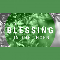 The Blessing in the Thorn - Audio