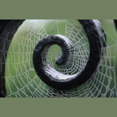 The Turning Point Nashville