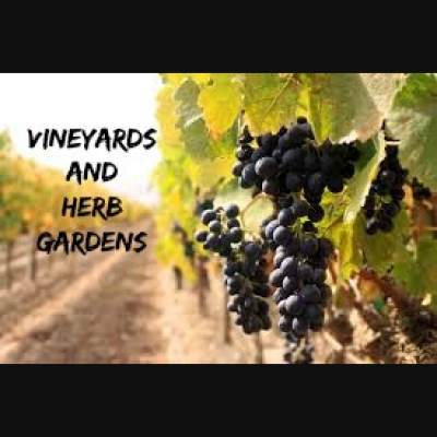 The Turning Point Nashville