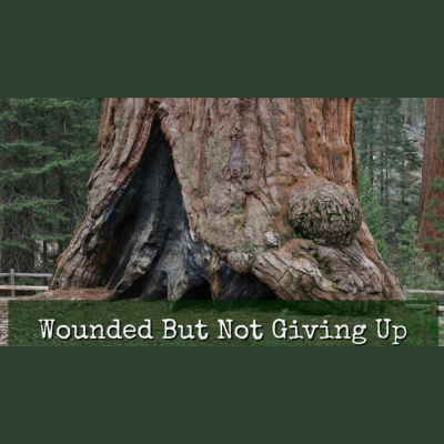 The Turning Point Nashville