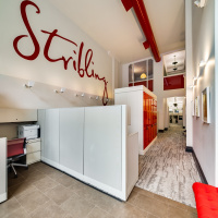 Elizabeth Ann Stribling-Kivlan