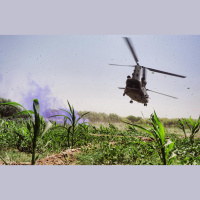 Operation Herrick: The Patient Pathway