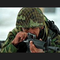 M16 - The Weapons That Changed The World