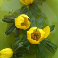 Tweets are searchable on Google. News to some, apparently