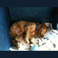 Fell asleep in the car