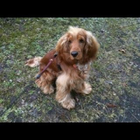 Oh, man it just started snowing again 