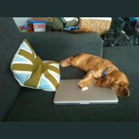 Some great ebook comments so far. Please, keep them coming.