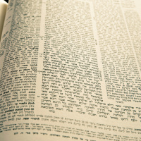 Shaare Torah Shiurim