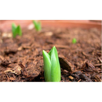 Lets Just Talk Radio Show