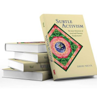 Subtle Activism: The Inner Dimension w/ David Nicol, Gaiafield Project