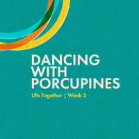 Dancing with Porcupines