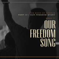 Our Freedom Song