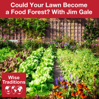 441: Could Your Lawn Become a Food Forest?