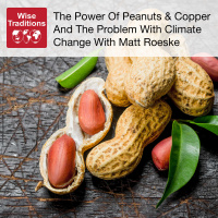 510: The Power of Peanuts  Copper and the Problem with Climate Change with Matt Roeske