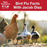 490: Bird Flu Facts
