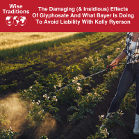 526: The Damaging ( Insidious) Effects of Glyphosate and What Bayer is Doing to Avoid Liability with Kelly Ryerson