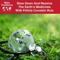 553: Slow Down And Receive The Earths Medicines With Felicia Cocotzin Ruiz