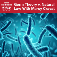 370: Germ Theory V. Natural Law