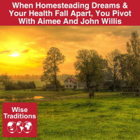 549: When Homesteading Dreams  Your Health Fall Apart, You Pivot With Aimee And John Willis