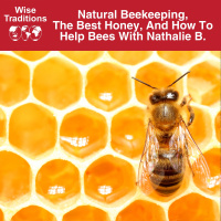 520: Natural Beekeeping, The Best Honey, And How To Help Bees With Nathalie B.