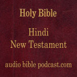 Abp - Hindi Bible - New Testament - January Start
