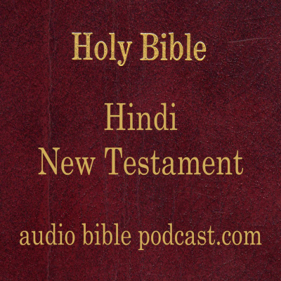 Abp - Hindi Bible - New Testament - January Start