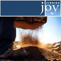 Finding Joy: Samson