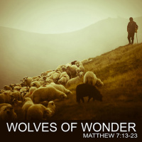 Wolves of Wonder: Pt. 2