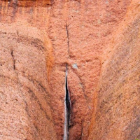 Kink Korner the cunt list and so much more