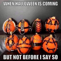 kink korner update show take 2