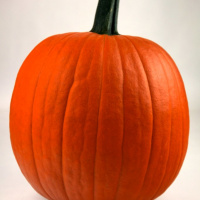 Kink Korner cock costume fun