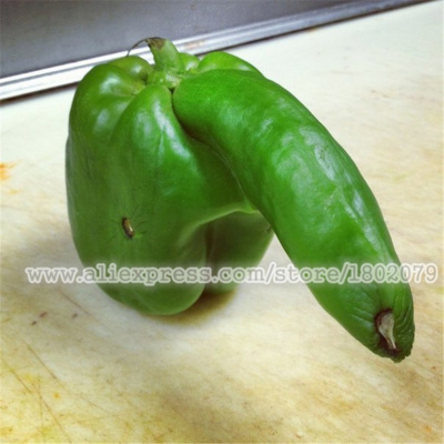 Kink Korner With Constance