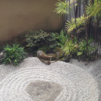 Quantum Physics, Buddhism,  Reality II