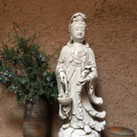 Freedom From Conditioning