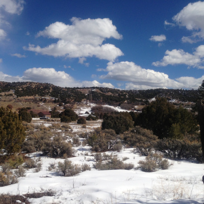 Teishos By Mitra Bishop Roshi