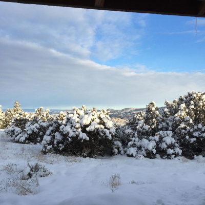 Teishos By Mitra Bishop Roshi