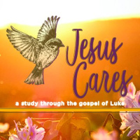 Lessons of a Disciple