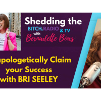Unapologetically Claim your Entrepreneurial Success with Bri Seeley