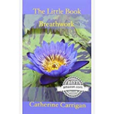 Shedding The Bitch Radio