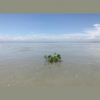 Deterritorialization