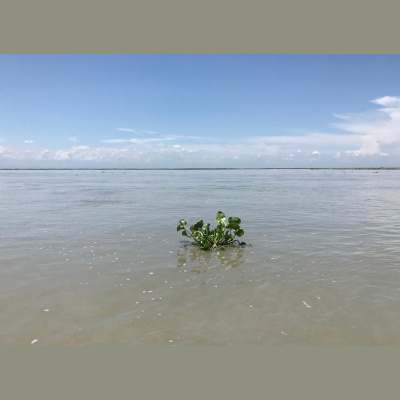 New Books In Geography