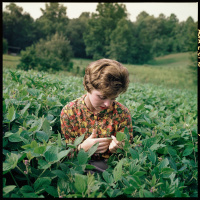 Clio Velentza — Days Of Peresids